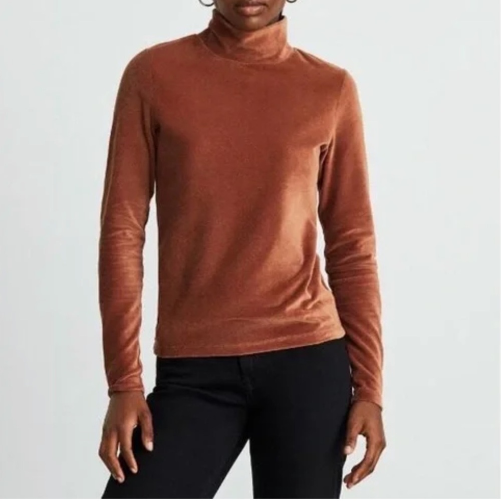 Everlane NWT The Velour Turtleneck Teracotta Long Sleeve Top